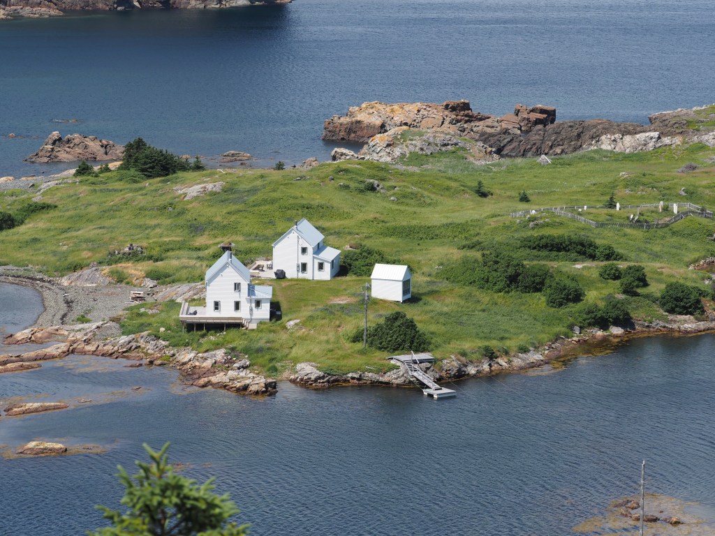 Terra Nova and&nbsp;Salvage