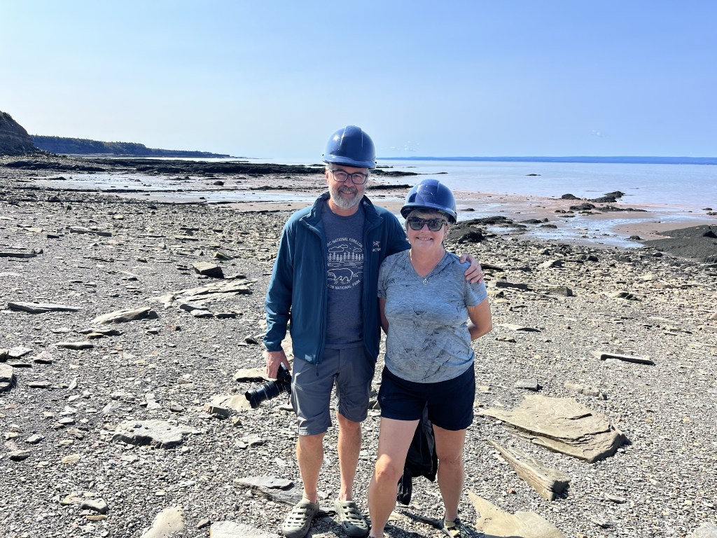 Joggins Fossil Cliffs