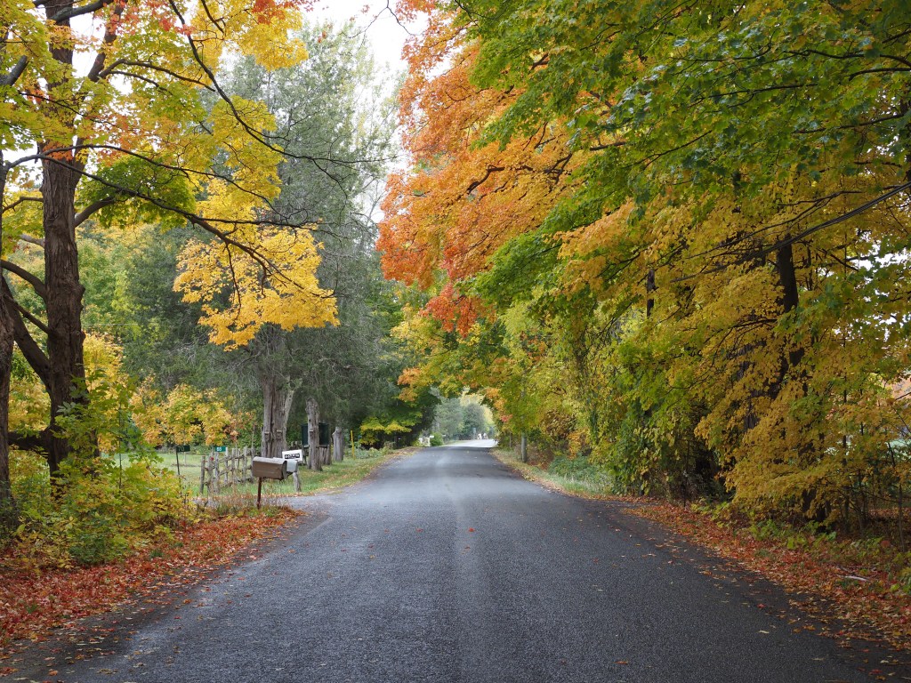 Net Positive, By Far (Part&nbsp;3)