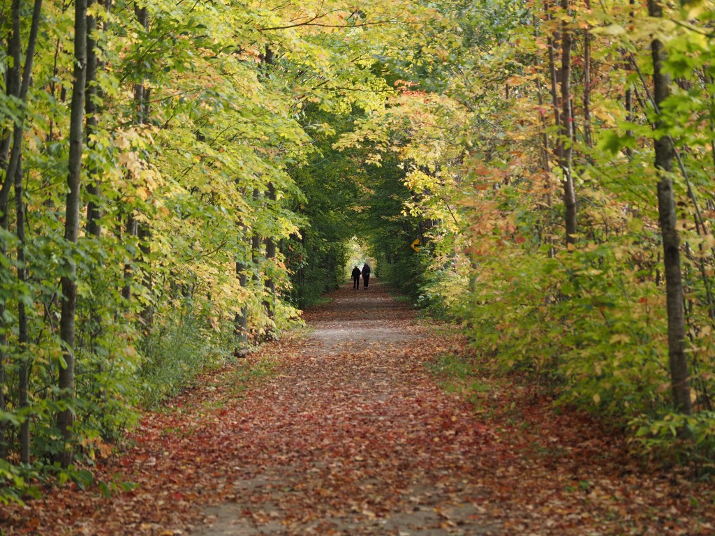 Net Positive, By Far (Part&nbsp;1)